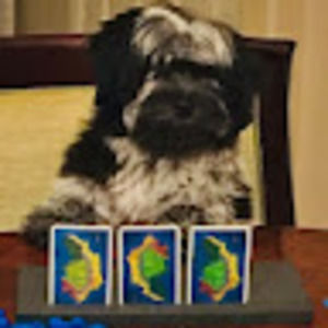 Meet your Posher, Alina